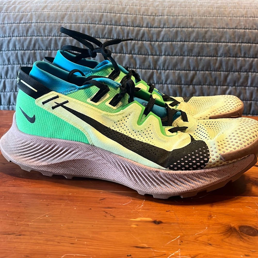 Nike Pegasus Trail shoes